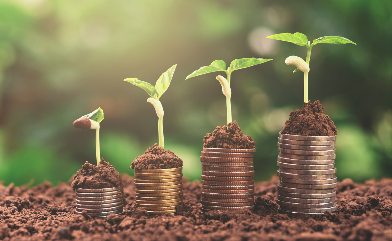 Plantas creciendo sobre monedas apiladas.