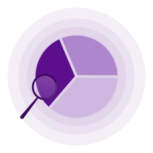 Illustration of a purple pie chart with a magnifying glass highlighting a section, symbolizing data analysis and market insights.
