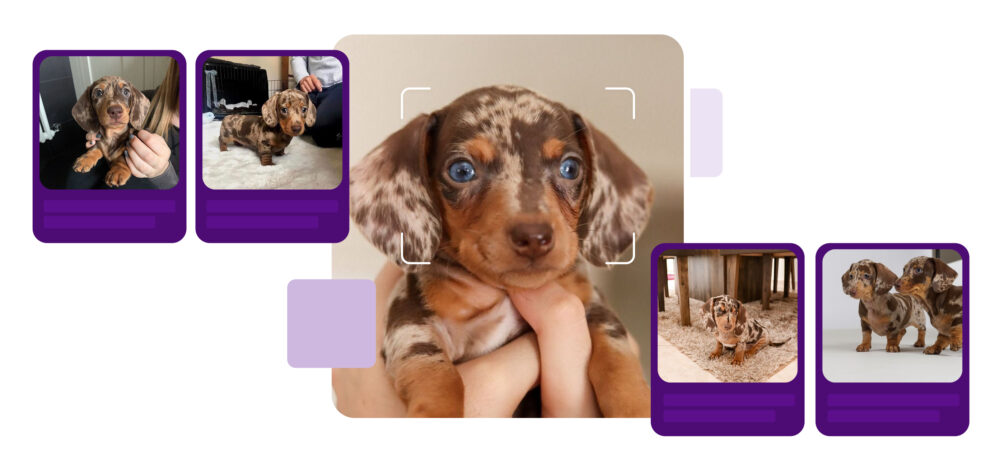 Qué es y cómo funciona Google Lens para el descubrimiento de productos