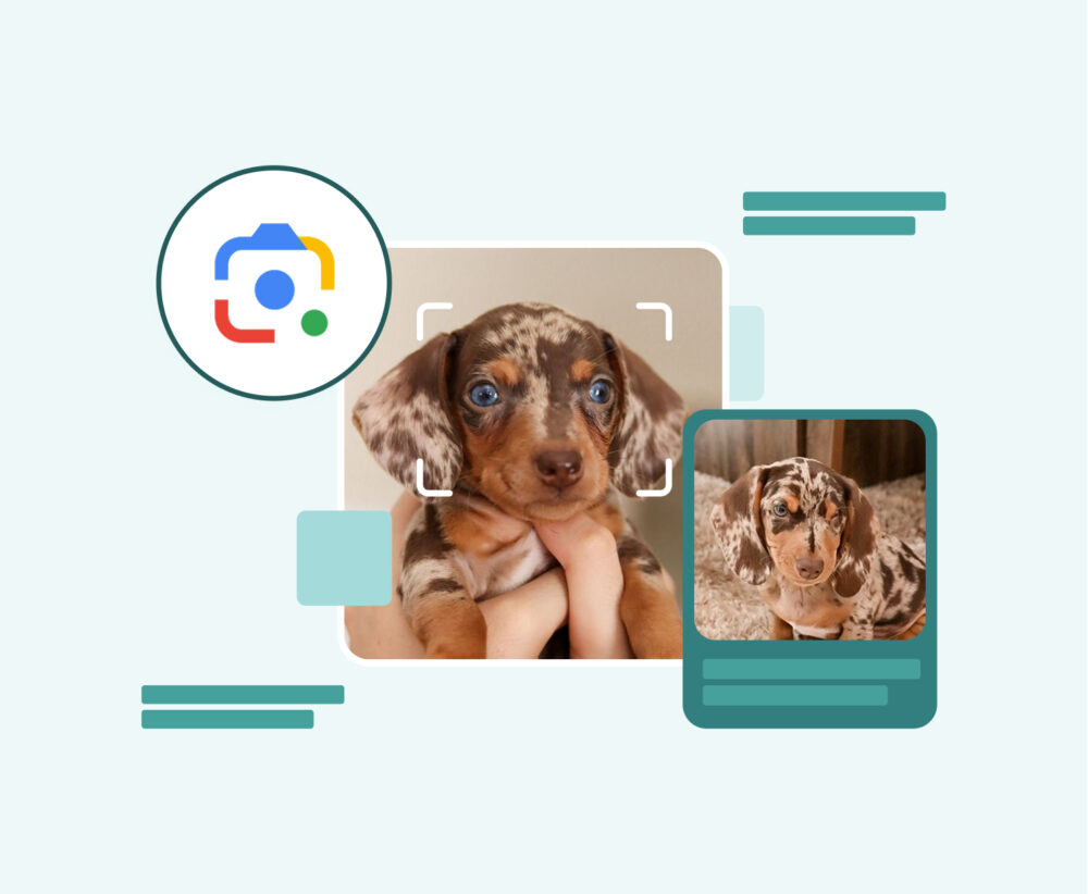 The End of Words: How Google Lens is Transforming Product Discovery