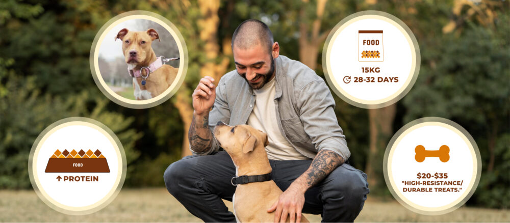 Man crouching in a park petting and training his dog, surrounded by information bubbles showing: photo of the dog with a collar, a 15 kg bag of food lasting 28–32 days, a food bowl indicating higher protein and a bone icon with an indicative price of 20–35 dollars for durable treats.
