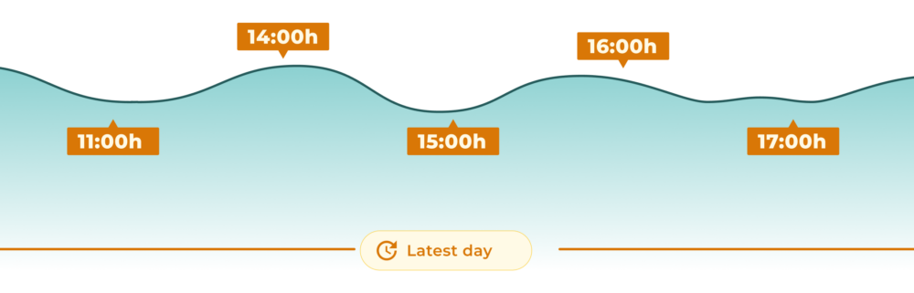 Ilustración de una curva ondulada azul que representa la evolución horaria del día más reciente, con marcadores naranjas en 11:00, 14:00, 15:00, 16:00 y 17:00 horas y una etiqueta inferior “Latest day”.