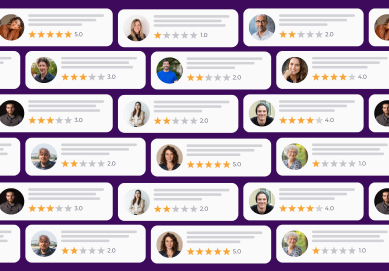 Sentiment Analysis in Reviews