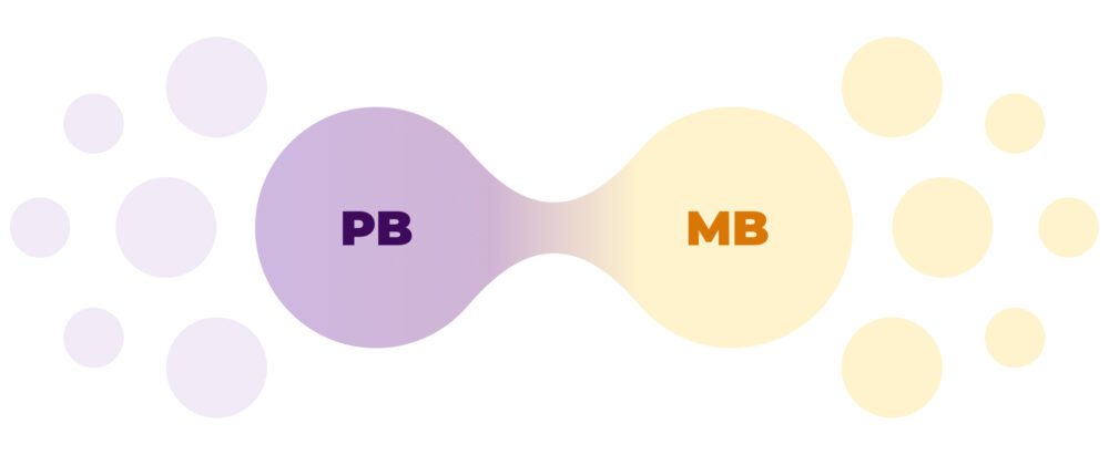 Transition graphic: two connected circular shapes, 'MDD' (purple) on the left and 'MDF' (yellow) on the right, with blurred dots around.