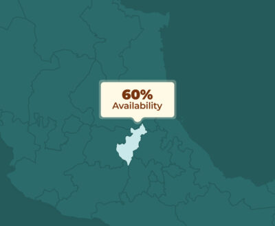Mapa estilizado con una región resaltada y un globo de texto que indica ‘60% Availability'. Ejemplo de Trade Marketing en tiempo real.