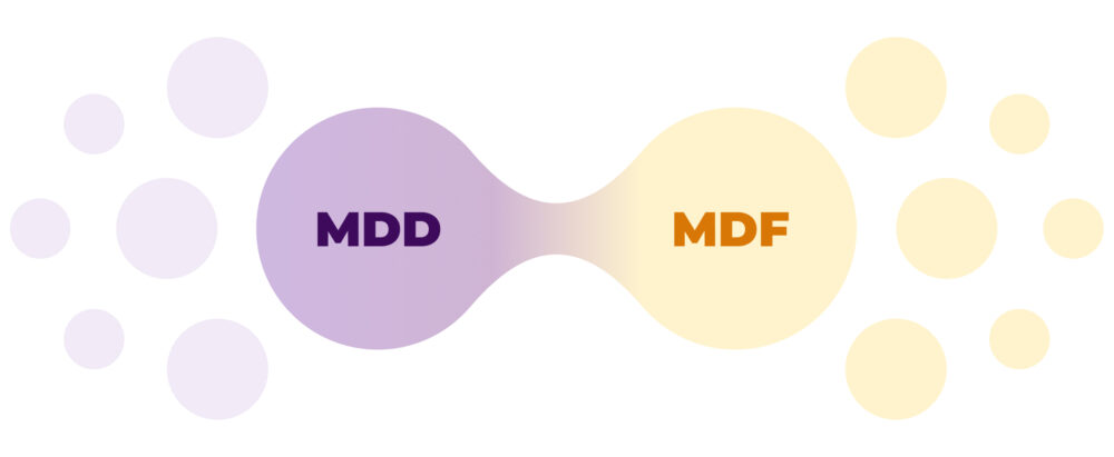 Gráfico de transición: dos formas circulares conectadas, ‘MDD’ (morado) a la izquierda y ‘MDF’ (amarillo) a la derecha, con puntos difuminados alrededor.