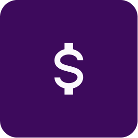 Pricing Icon