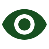 eye icon